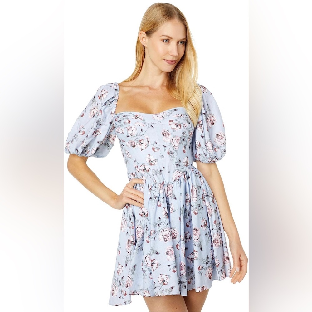 NWT Kiah Corset Mini Dress in Rose Floral Sz 8